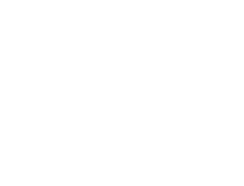VivaVilla