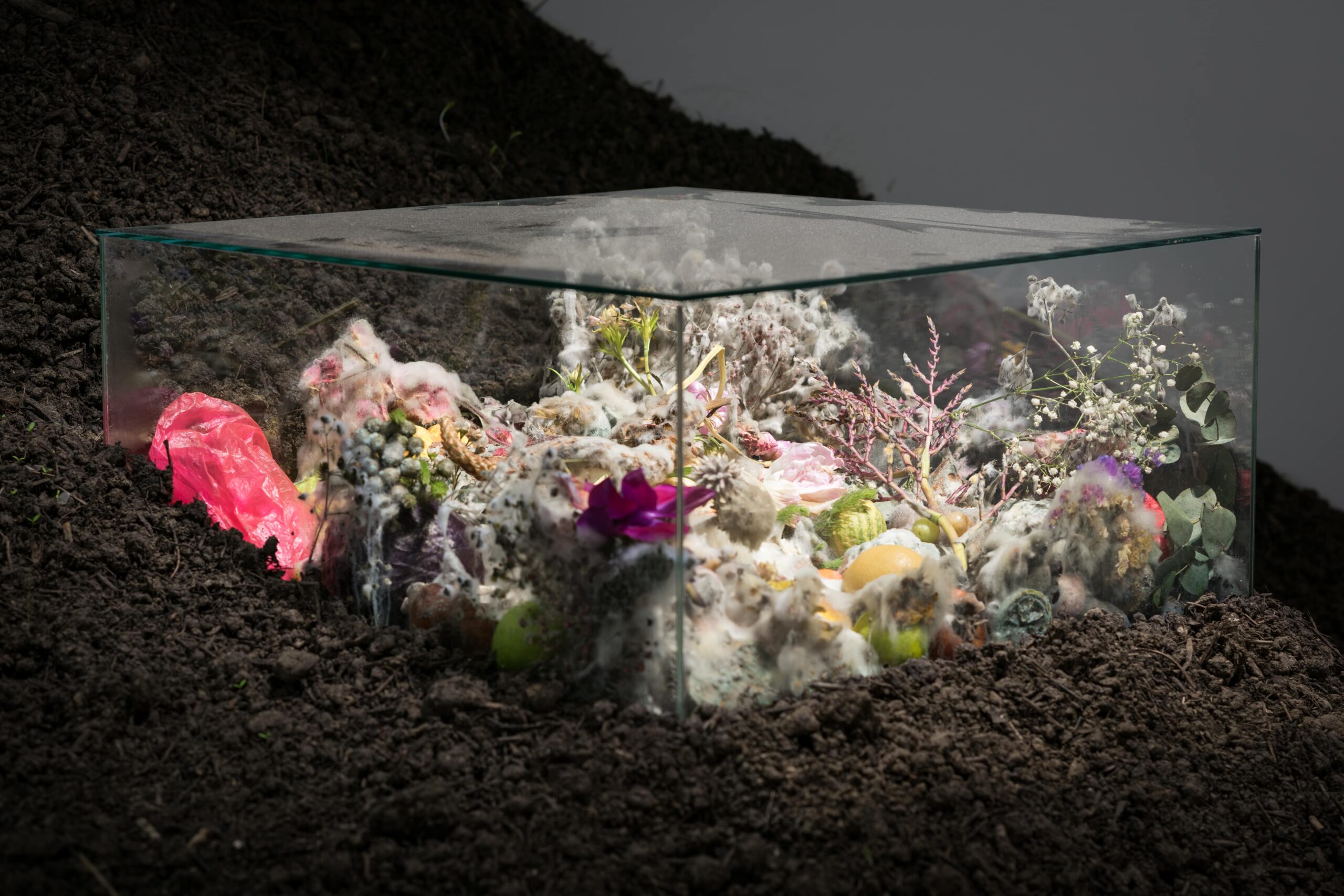 Photo de l'exposition : “Tactical Specters”